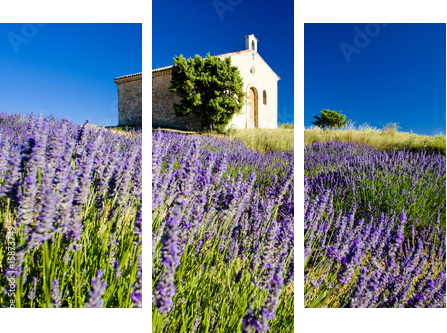 Kaplica, Plateau de Valensole, Prowansja, Francja - Obraz trzyczęściowy, Tryptyk