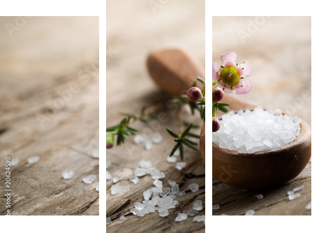 Sól do kąpieli - Obraz trzyczęściowy, Tryptyk