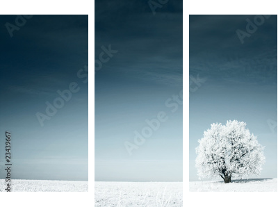 Urzekająca moc bieli – śnieżny krajobraz - Obraz trzyczęściowy, Tryptyk