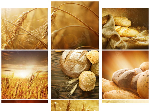 Pszenica Collage.Harvest koncepcje - Obraz trzyczęściowy, Tryptyk