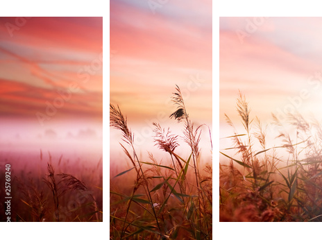 Foggy Landscape.Early Morning Mist. - Obraz trzyczęściowy, Tryptyk