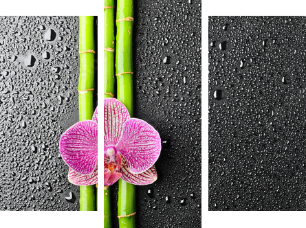 Kwiat w kroplach deszczu - Obraz trzyczęściowy, Tryptyk