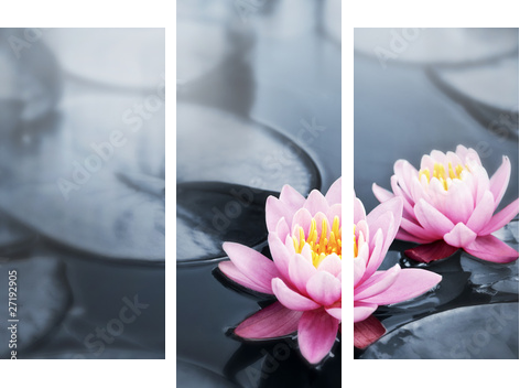 Czarująca głębia kwiatu lotosu - Obraz trzyczęściowy, Tryptyk