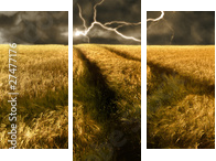 burza nad złotym polu jęczmienia - Obraz trzyczęściowy, Tryptyk