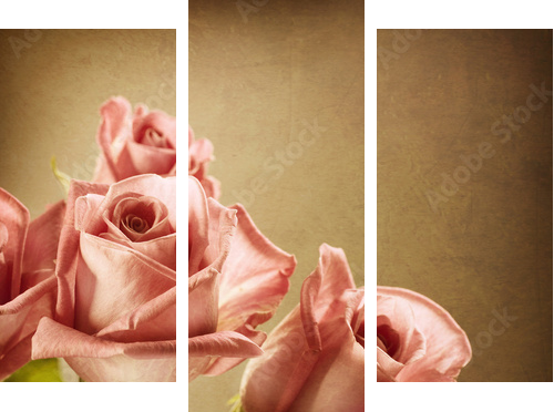 Piękne różowe róże. Vintage w stylu. Sepia toned - Obraz trzyczęściowy, Tryptyk