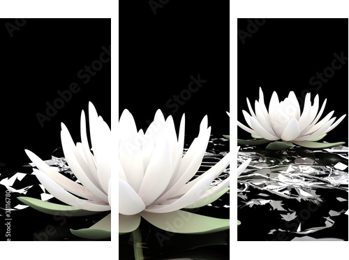 Biały kwiat lotosu na wodzie - Obraz trzyczęściowy, Tryptyk