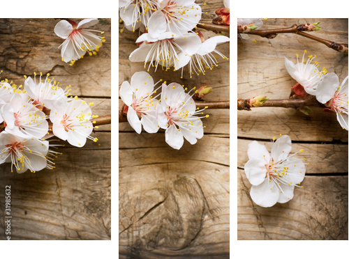 Drewniany tło z wiosny okwitnięciem - Obraz trzyczęściowy, Tryptyk