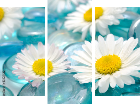 Kwiaty Daisy na Blue Glass Stones - Obraz trzyczęściowy, Tryptyk