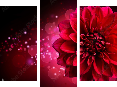 Projekt kwiat Dahlia Autumn - Obraz trzyczęściowy, Tryptyk
