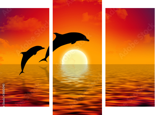 ilustracja dwóch delfinów pływanie w zachodzie słońca - Obraz trzyczęściowy, Tryptyk