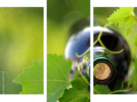Butelka wina opleciona winoroślą - Obraz trzyczęściowy, Tryptyk