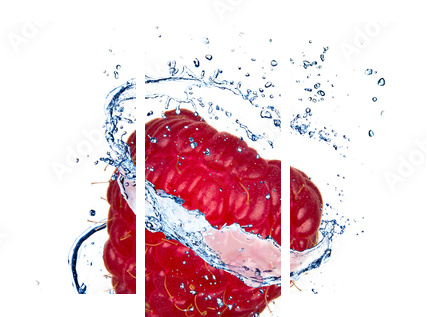 Malinka z wodnym pluśnięciem, odosobnionym na białym tle - Obraz trzyczęściowy, Tryptyk