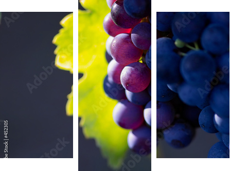 Dojrzałe winogrona w blasku słońca - Obraz trzyczęściowy, Tryptyk