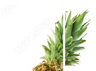 pół ananas - Obraz trzyczęściowy, Tryptyk