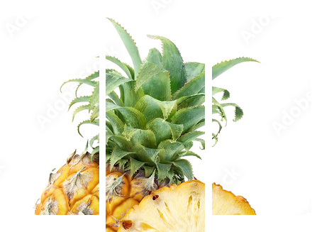 Ananasy odizolowywający na bielu - Obraz trzyczęściowy, Tryptyk