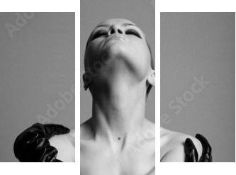 naga elegancka dziewczyna z rękawiczkami. Fotografia mody studyjnej. - Obraz trzyczęściowy, Tryptyk