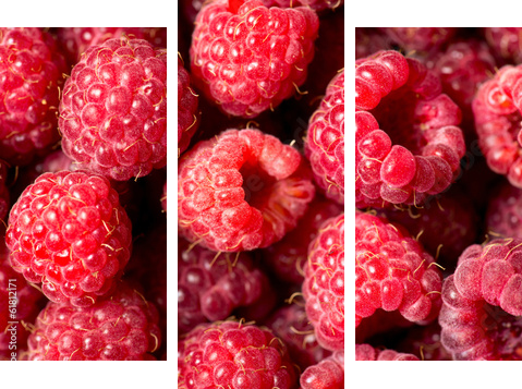 Tło owoców malin - Obraz trzyczęściowy, Tryptyk
