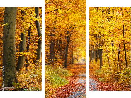 Las jesienią - Obraz trzyczęściowy, Tryptyk