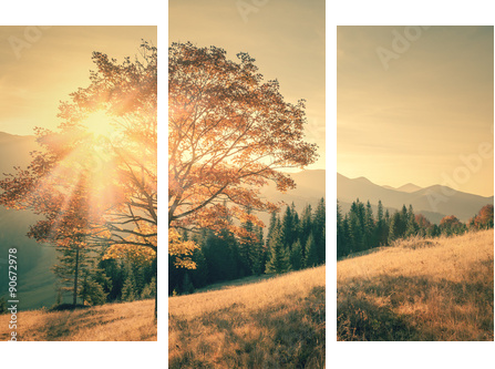 Jesieni drzewa i sunbeam dnia ciepły krajobraz tonujący w roczniku - Obraz trzyczęściowy, Tryptyk