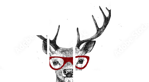 Ręcznie rysowane ubrane jelenia - Obraz czteroczęściowy, Fortyk