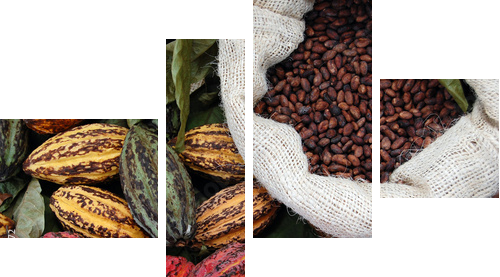 Kakao - Obraz czteroczęściowy, Fortyk