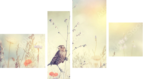 Pole z dzikimi kwiatami i ptakiem - Obraz czteroczęściowy, Fortyk