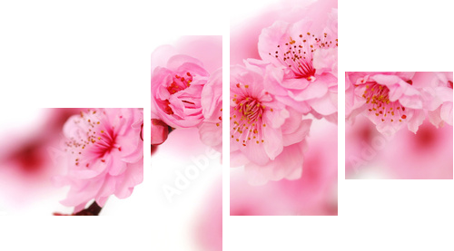 Słodycz koloru w odcieniach różu  - Obraz czteroczęściowy, Fortyk