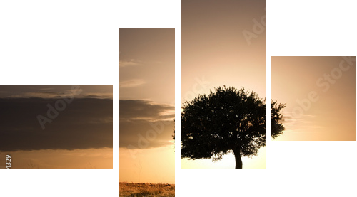samotny dąb w złotym zachodzie słońca - Obraz czteroczęściowy, Fortyk