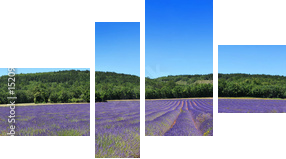 Panorama Prowansji - Obraz czteroczęściowy, Fortyk