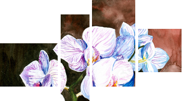 Orchid akwarela malowane. - Obraz czteroczęściowy, Fortyk
