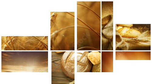 Pszenica Collage.Harvest koncepcje - Obraz czteroczęściowy, Fortyk