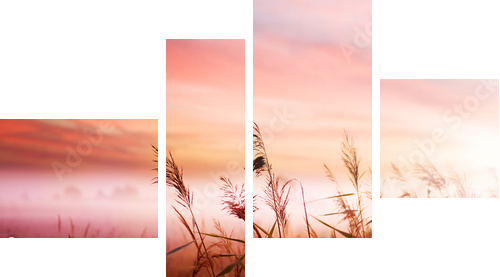 Czerwona polana osnuta mleczną mgłą - Obraz czteroczęściowy, Fortyk