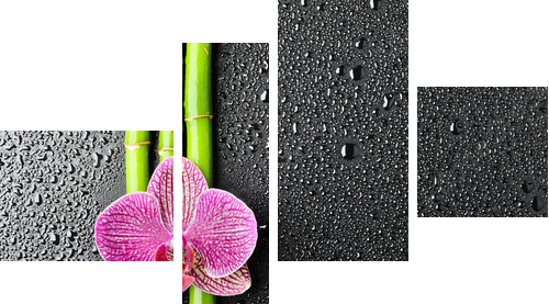 Kwiat w kroplach deszczu - Obraz czteroczęściowy, Fortyk