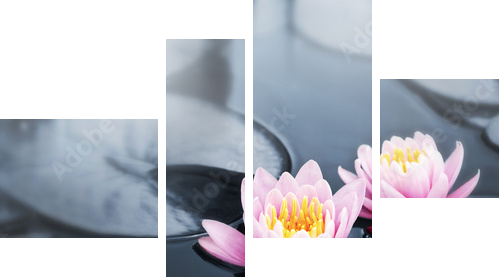 Czarująca głębia kwiatu lotosu - Obraz czteroczęściowy, Fortyk