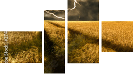 burza nad złotym polu jęczmienia - Obraz czteroczęściowy, Fortyk