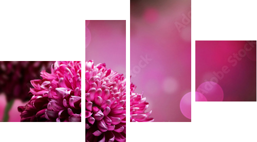 Projekt kwiat Dahlia Autumn. Z przestrzenią kopii - Obraz czteroczęściowy, Fortyk