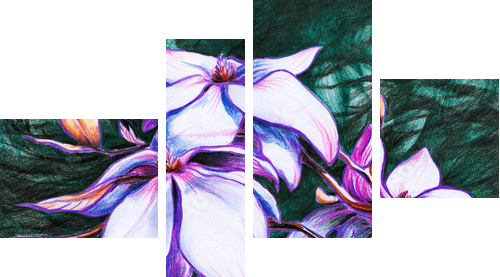 Magnolia - przemijający czas - Obraz czteroczęściowy, Fortyk