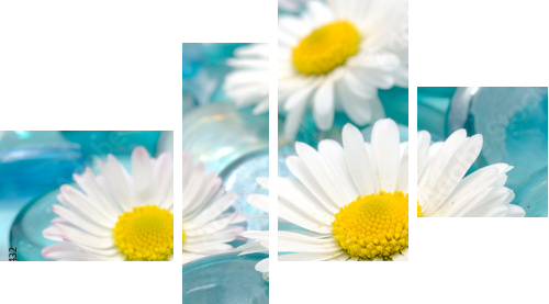 Kwiaty Daisy na Blue Glass Stones - Obraz czteroczęściowy, Fortyk