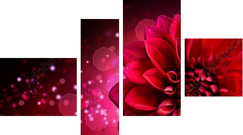 Projekt kwiat Dahlia Autumn - Obraz czteroczęściowy, Fortyk
