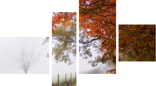 Taniec spadających liści – jesienny poranek - Obraz czteroczęściowy, Fortyk