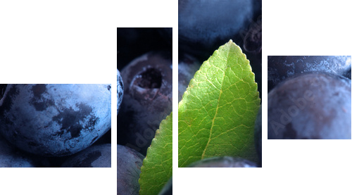 Leśne borówki z zielonym listkiem - Obraz czteroczęściowy, Fortyk