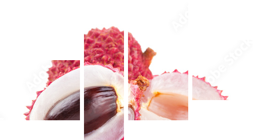 liczi - Obraz czteroczęściowy, Fortyk