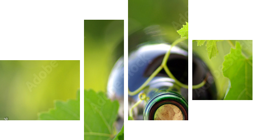 Butelka wina opleciona winoroślą - Obraz czteroczęściowy, Fortyk