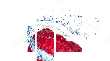 Malinka z wodnym pluśnięciem, odosobnionym na białym tle - Obraz czteroczęściowy, Fortyk