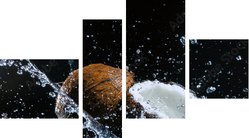pęknięty orzech kokosowy - Obraz czteroczęściowy, Fortyk