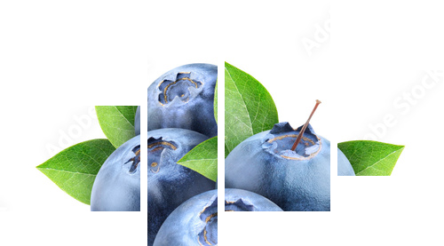 Świeże czarne jagody odizolowywać na bielu - Obraz czteroczęściowy, Fortyk