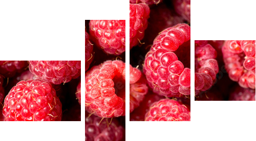 Tło owoców malin - Obraz czteroczęściowy, Fortyk