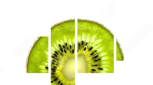 Plasterek świeży soczysty kiwi i mennicy ziele odizolowywający na bielu - Obraz czteroczęściowy, Fortyk