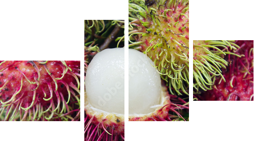 Owoce Rambutan - Obraz czteroczęściowy, Fortyk
