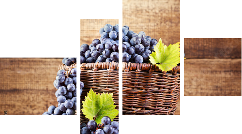 winogron w drewnianym koszyku - Obraz czteroczęściowy, Fortyk